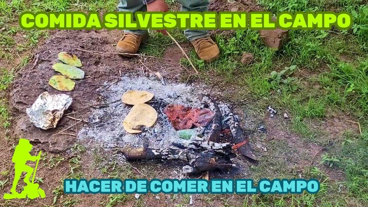 Comida silvestre en el campo