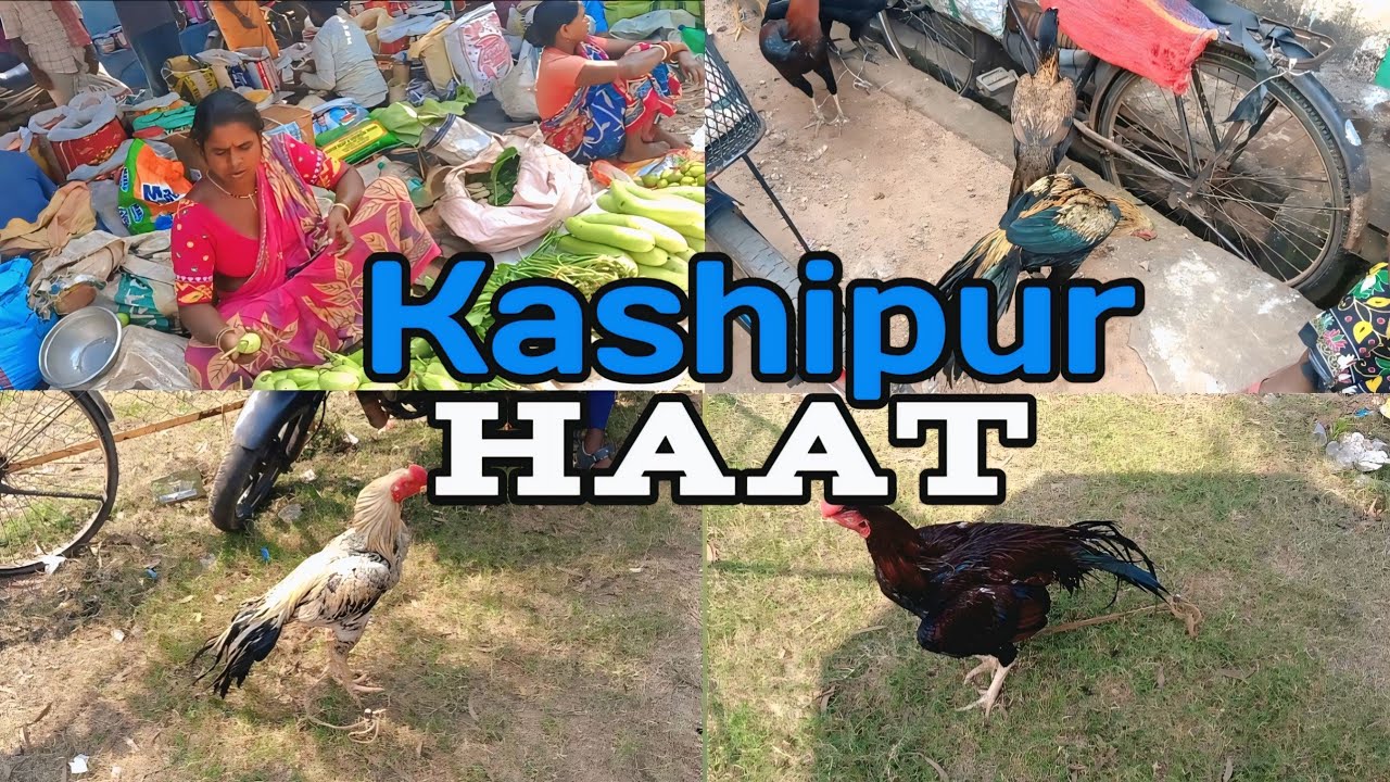 Kashipur haat//Bengali video//#mahato_blogger