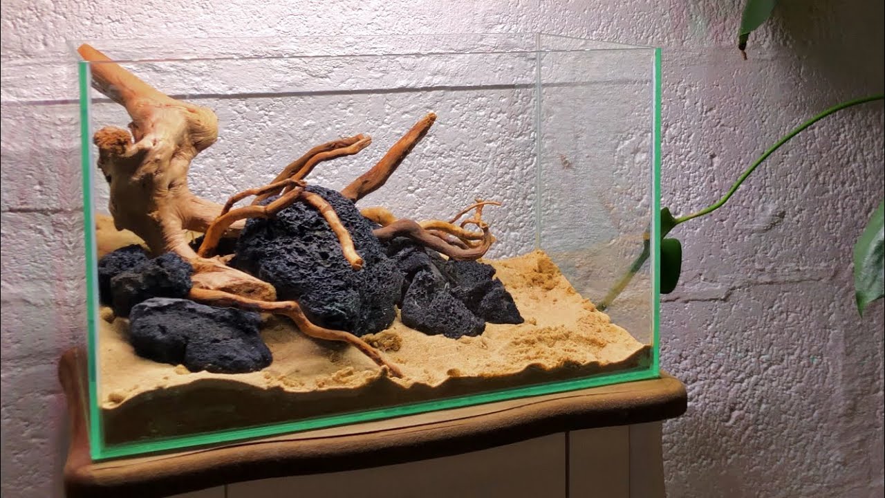 Betta Fish Tank Setup - How To Set Up Aquarium for Betta Fish