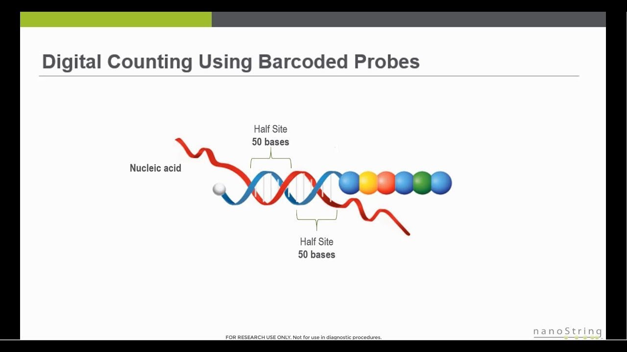 nCounter Gene Expression Analysis Overview