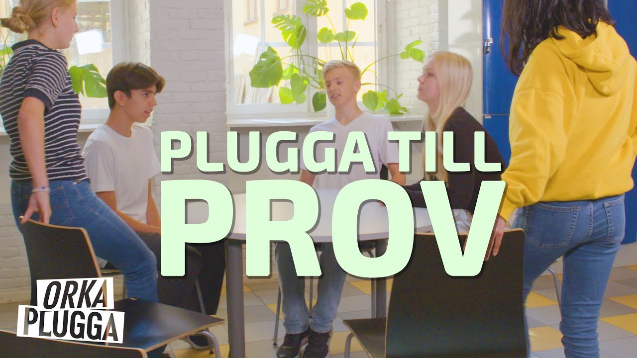 Plugga till prov