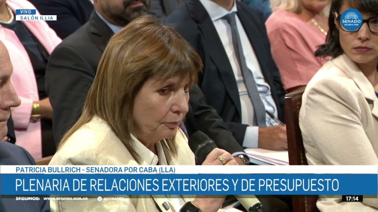 SENADORA PATRICIA BULLRICH - PLENARIO DE RELACIONES EXTERIORES Y DE PRESUPUESTO 10-03-26