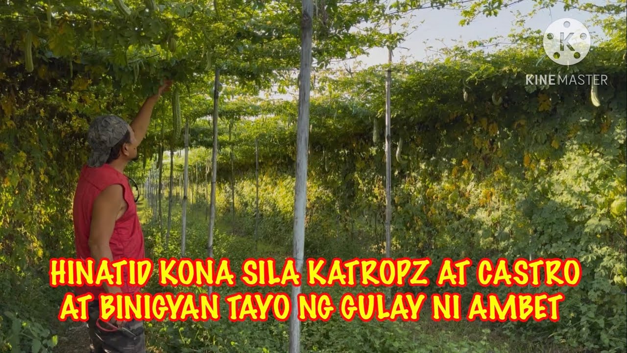 HINATID KO SILA KATROPZ AT CARLO AT BINIGYAN TAYO NG MGA GULAY 