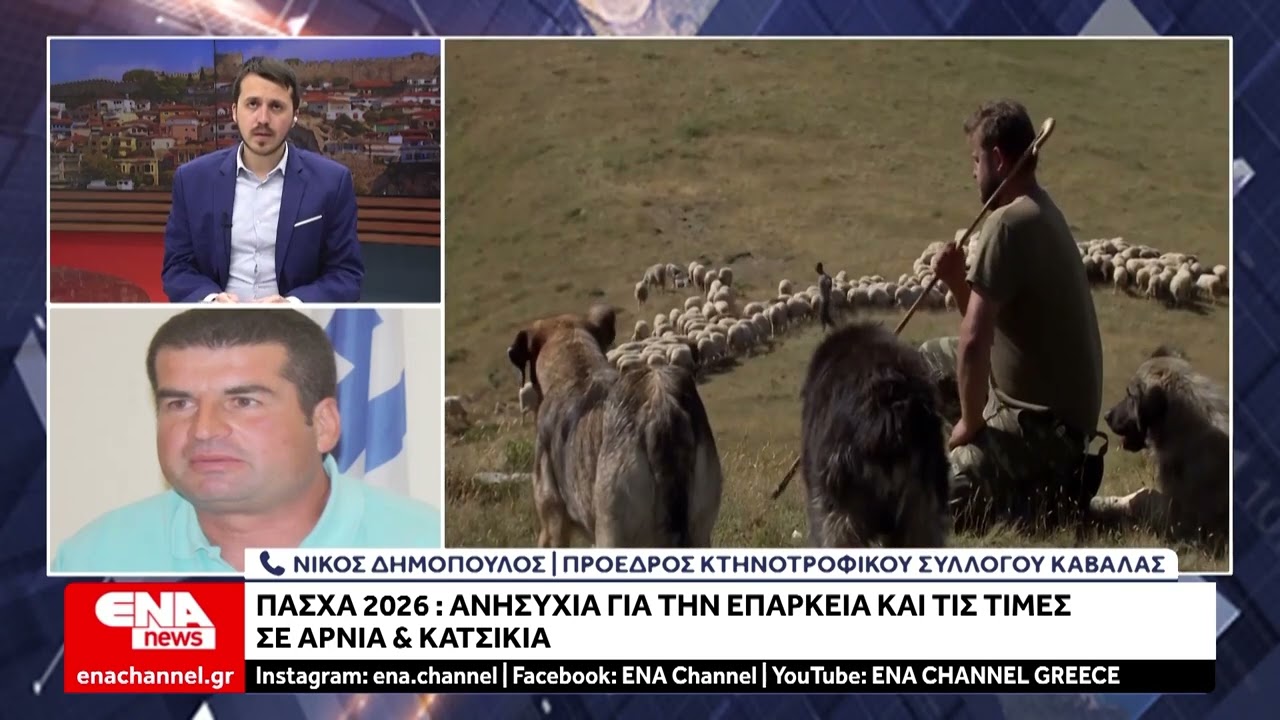 Πάσχα 2026: Ανησυχία για την επάρκεια και τις τιμές στο αρνί και το κατσίκι