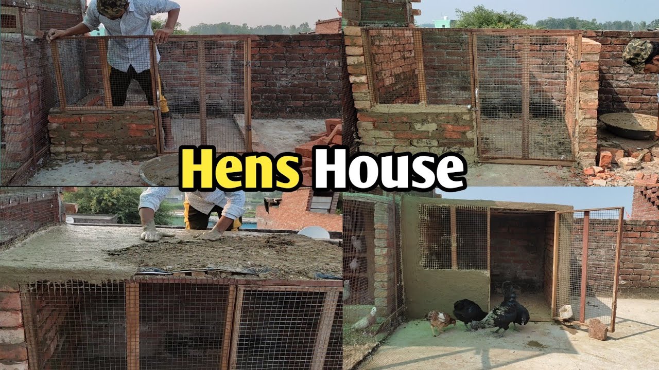 How To Make Beautiful Hens House From Clay And Bricks |  आसानी से मुर्गियों का घर बनाएं