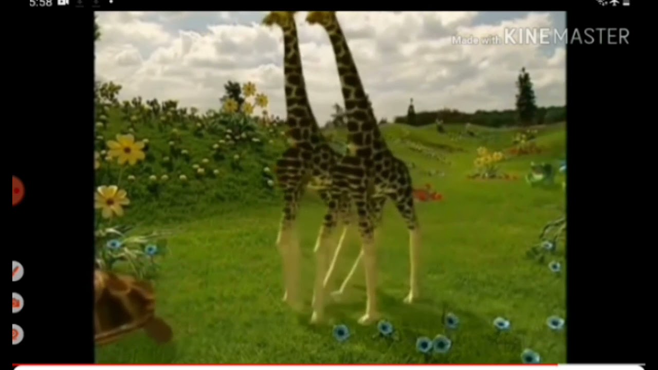 ANIMAL PARADE BIG SQUARE BACKWARDS