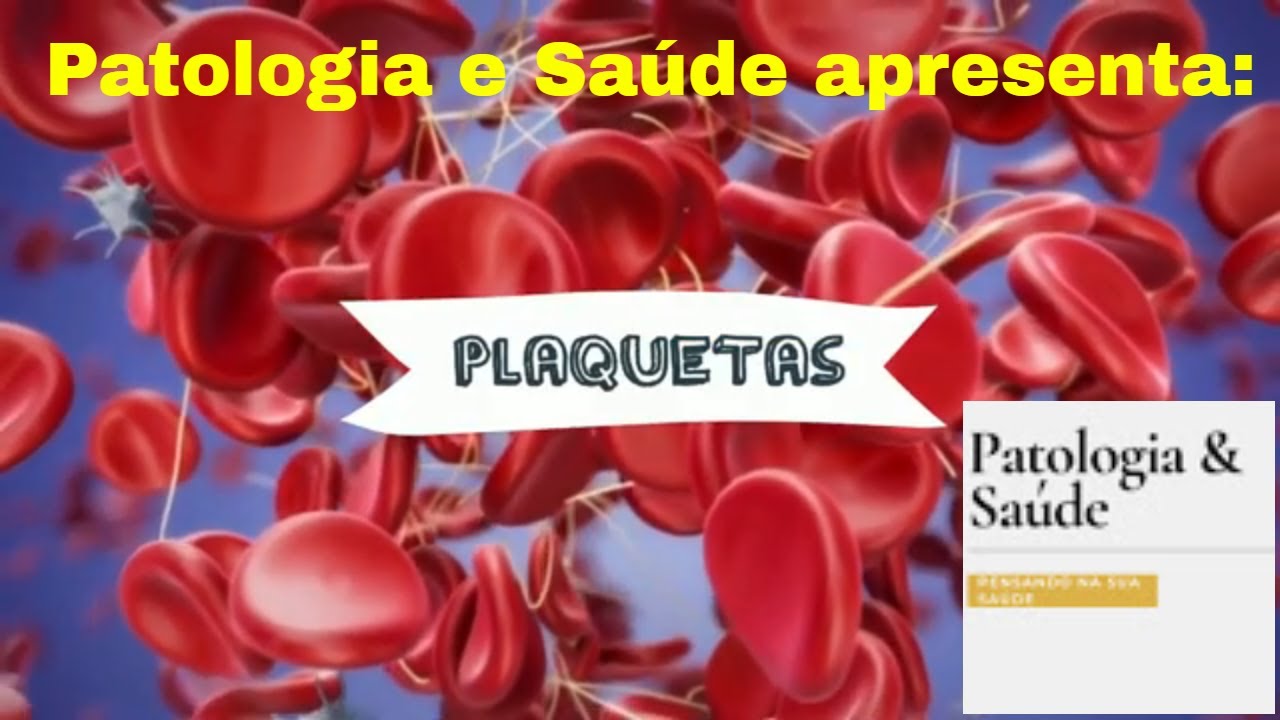Como funcionam as plaquetas?