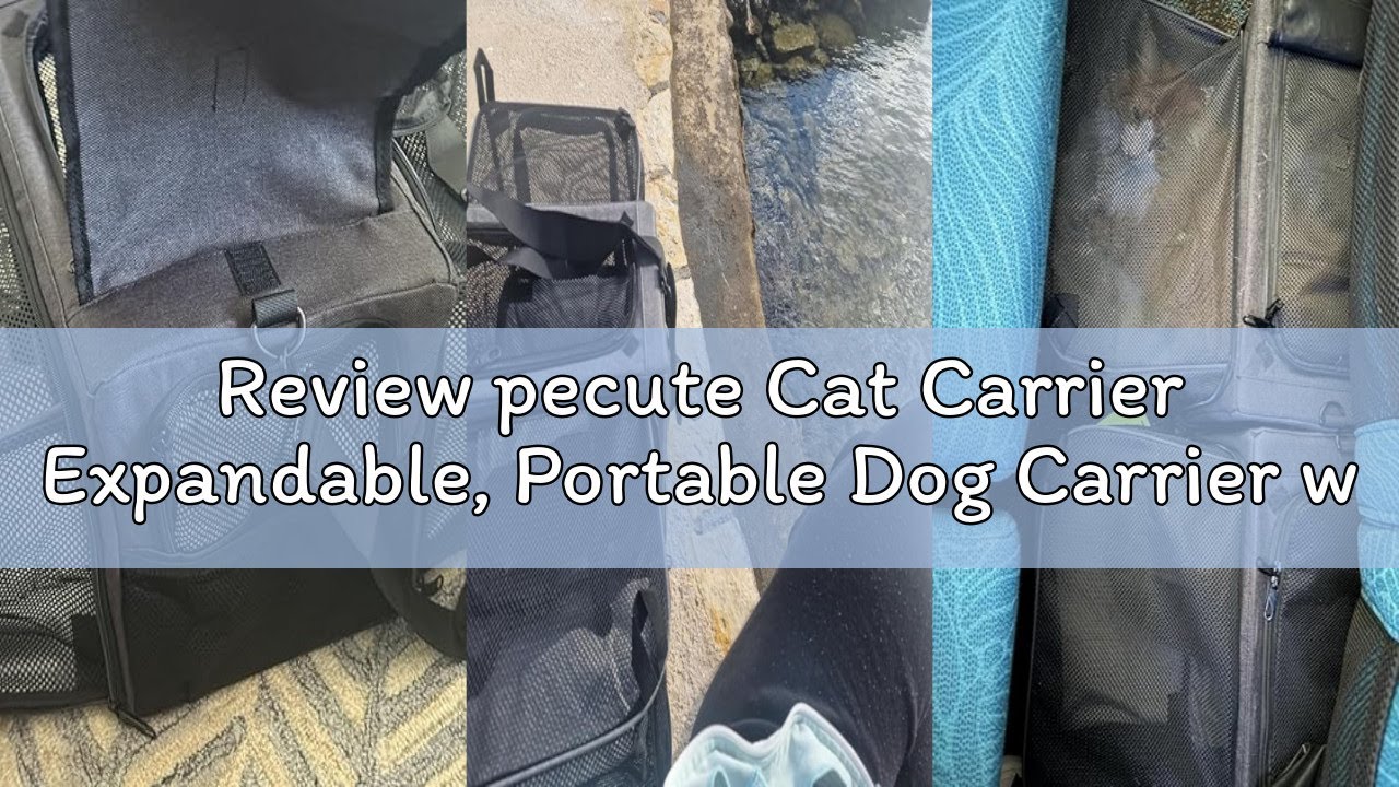 Review pecute Cat Carrier Expandable, Portable Dog Carrier with Stable Structure, Breathable Mesh Fa