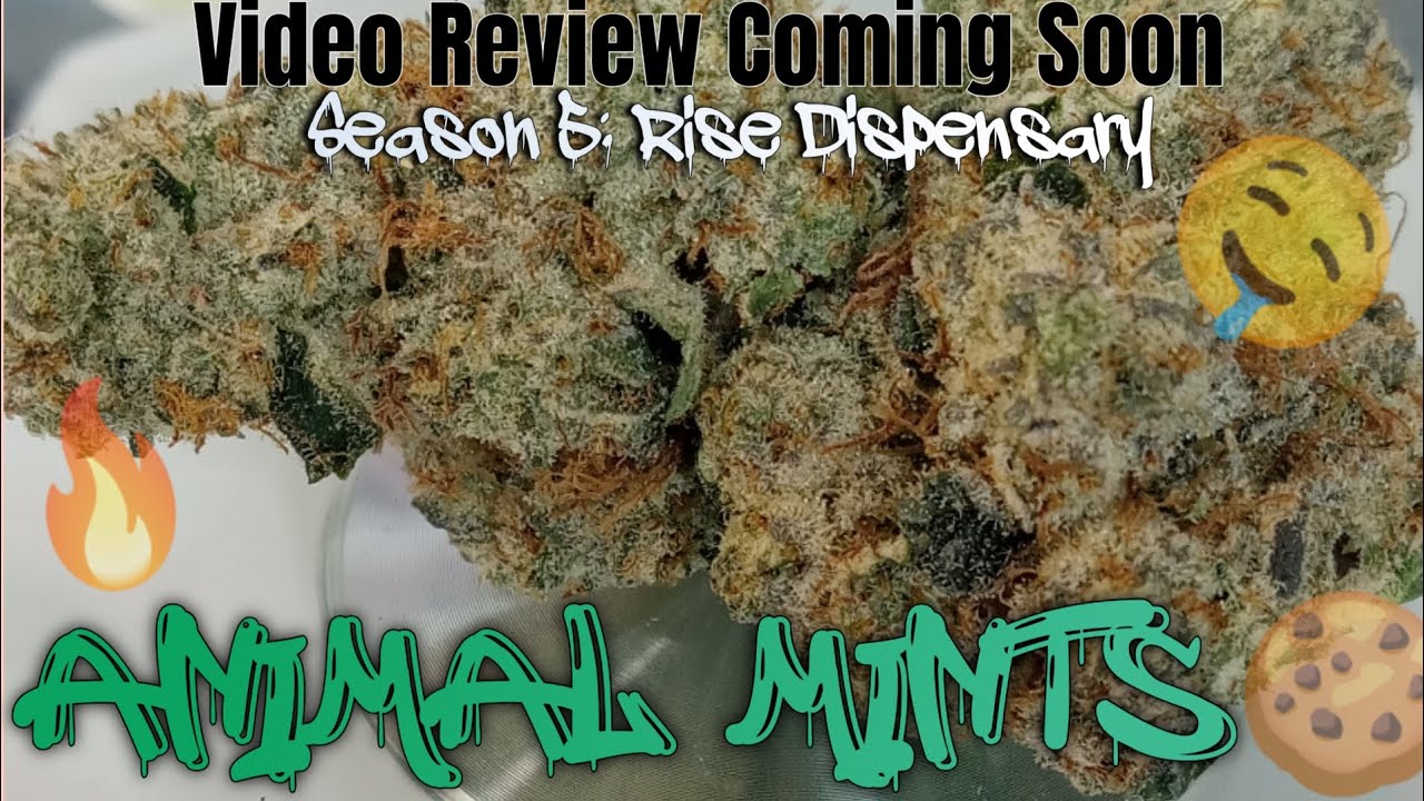 #72 Animal Mints (Video Review Coming Soon)Rise Dispensary Product