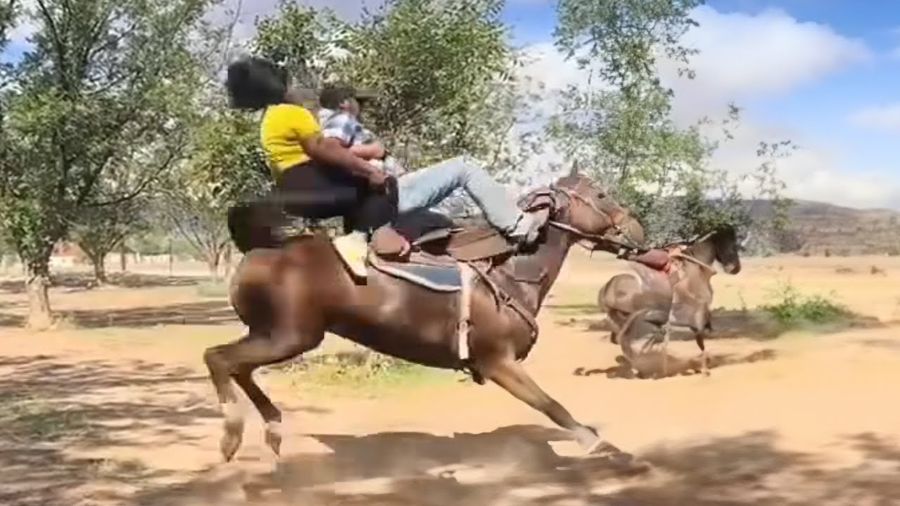 Катание на лошади с ребёнком… и неожиданный финал! 👶🐎 🤣 Самое смешное видео о лошадях 2025 года 😂🐴