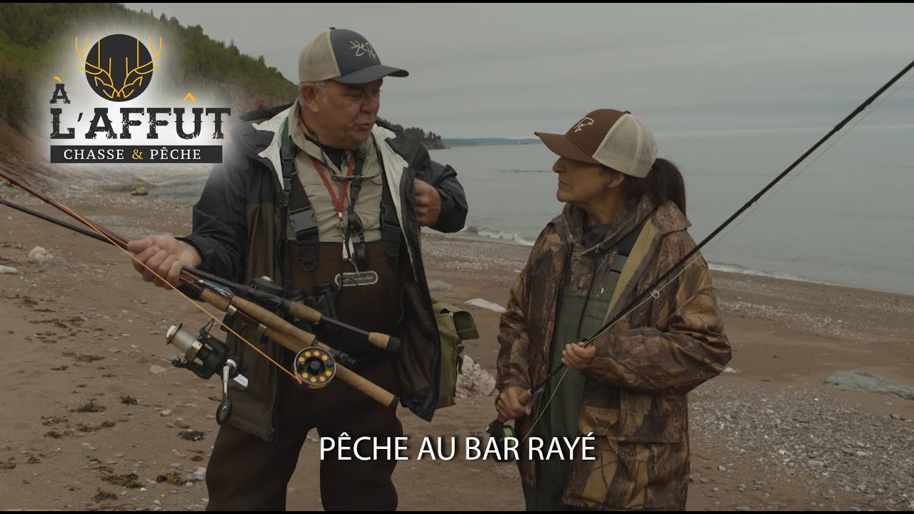 À l'affût: Bar rayé
