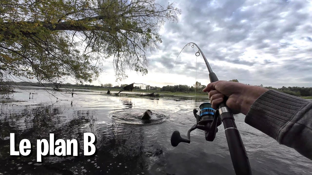 PECHE en Loire : SILURE en HIVER