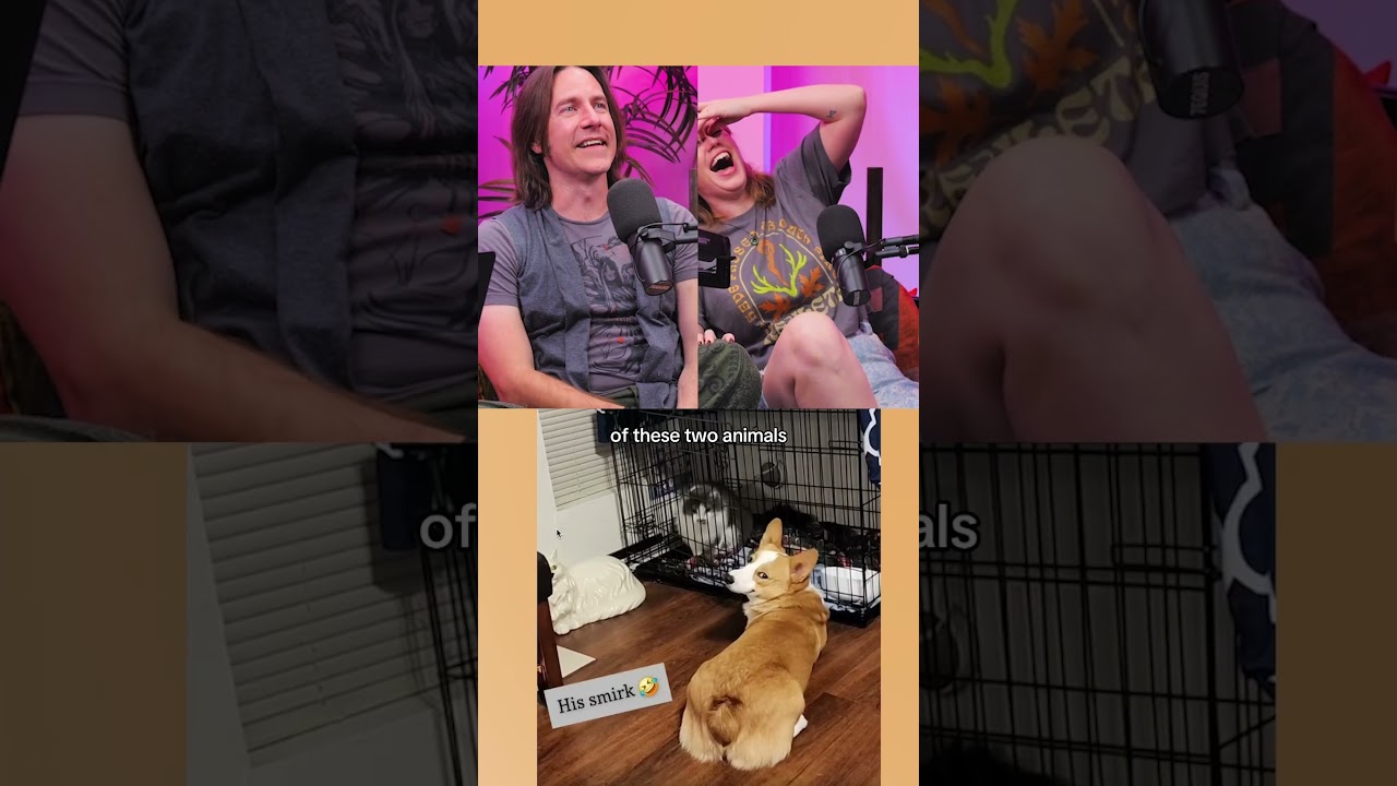 Showing Critical Role The Best Corgi Content