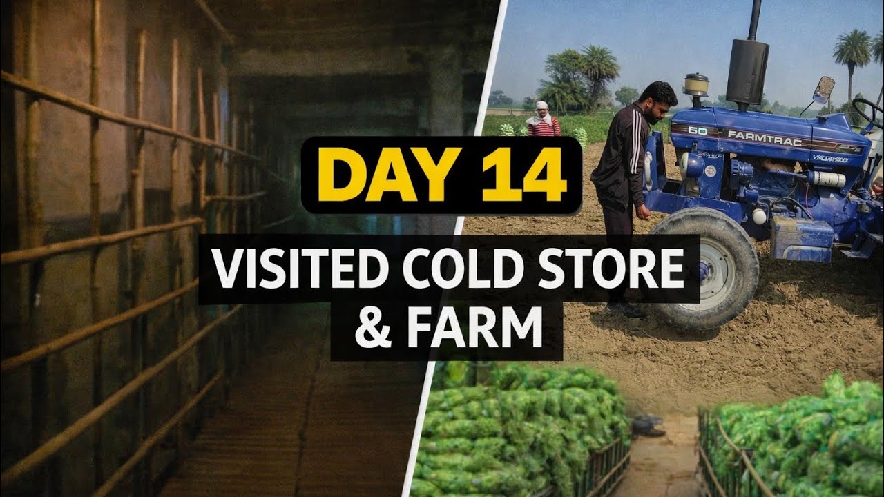 Day 14 Daily Vlog | Cold Store Visit & Farm Work 🚜 | Real Village Life Experience