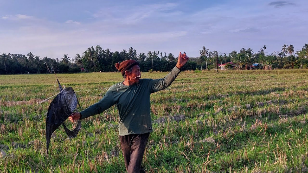 Main wau bulan dengan Tok wan || Suasana damai bersama anak Perlis