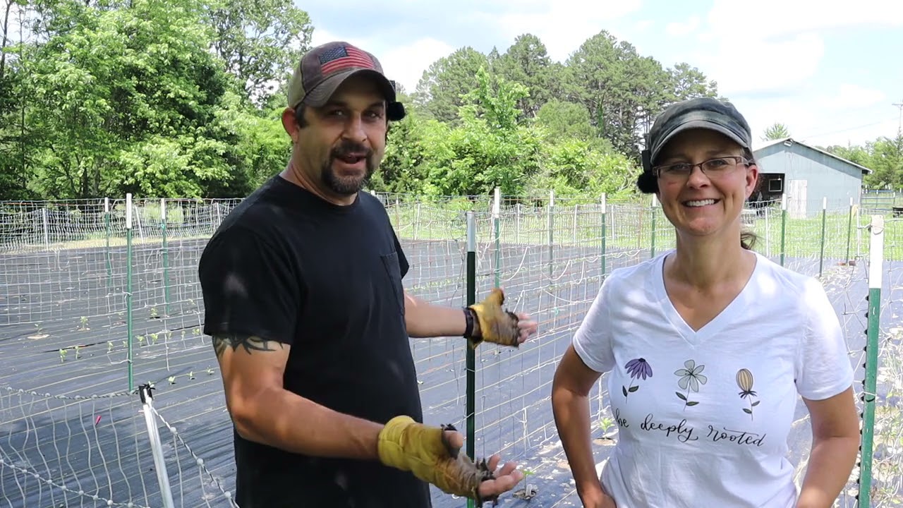 A Weed-Free Garden IS Possible!