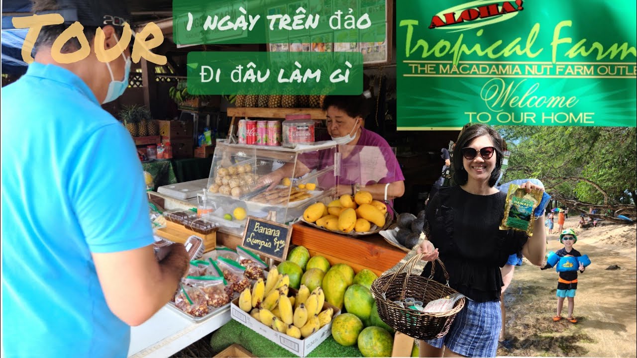 Du Lịch Hawaii | Đi Tour 1 ngày Trên Đảo Oahu
