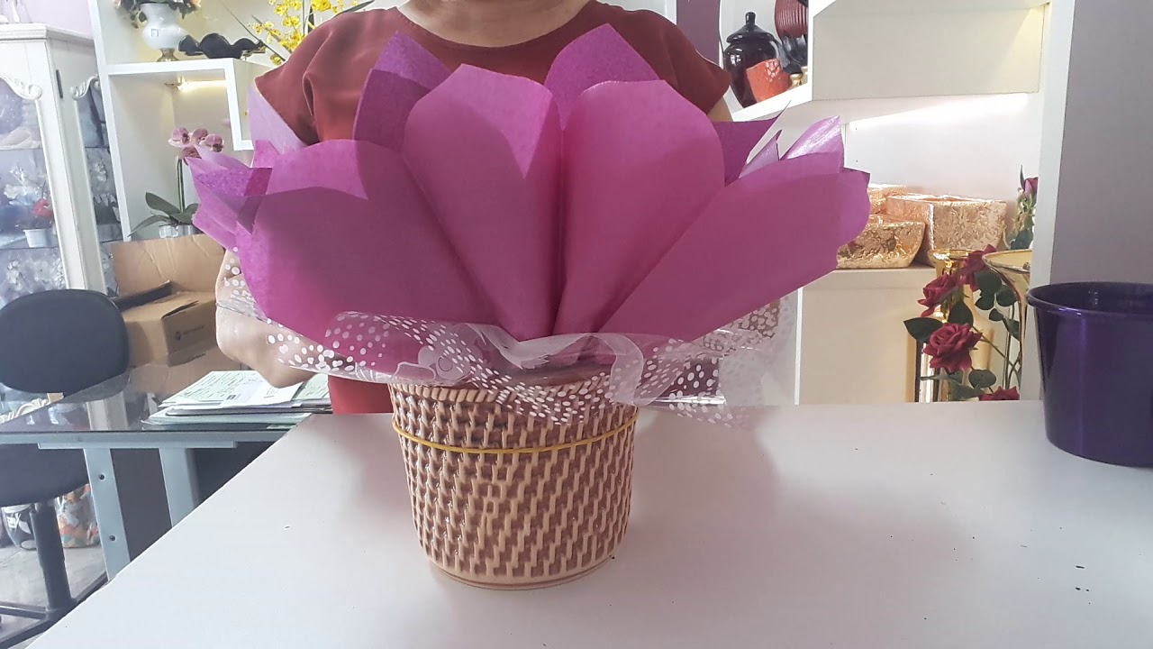 COMO EMBALAR UMA VIOLETA, MARGARIDINHA, KALANCHOE POTE 11
