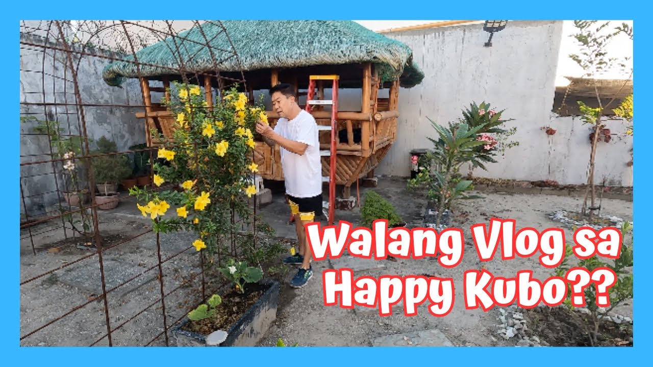 BAKIT WALANG VLOG SA HAPPY KUBO. HAPPY GARDEN 9 MONTHS LATER. BLESSING.