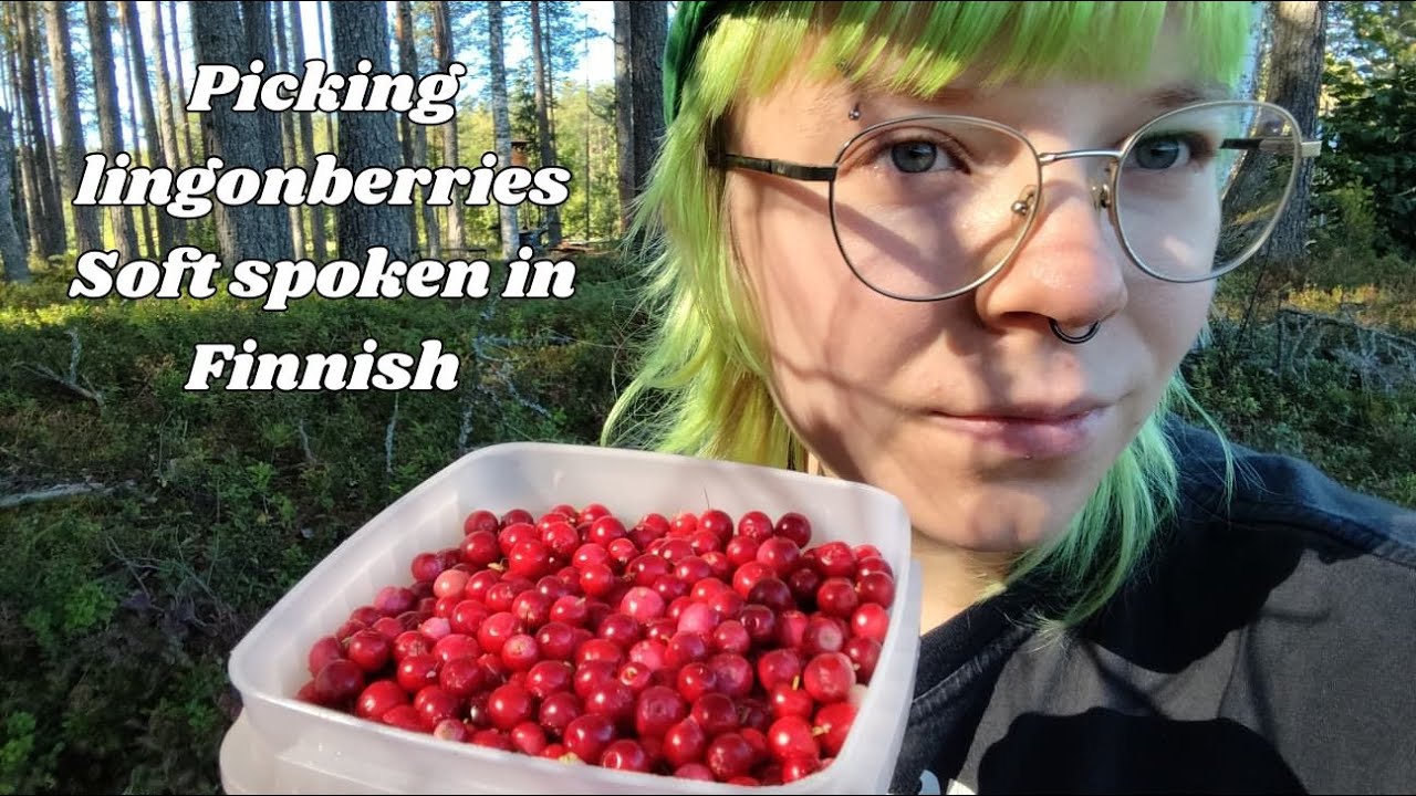 ASMR SUOMI Puolukkametsässä - soft spoken, luonnon ääniä, lofi