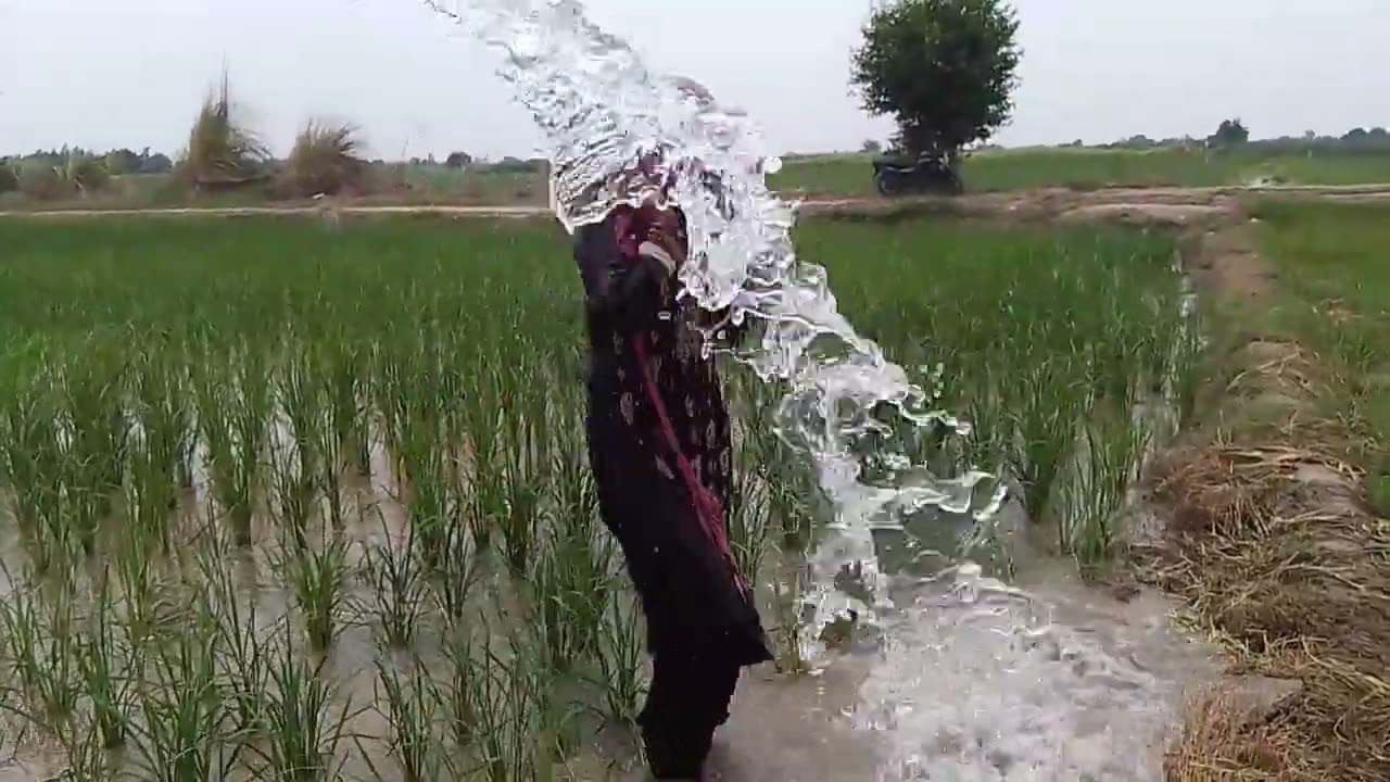 Khet mein nahane ka Maja