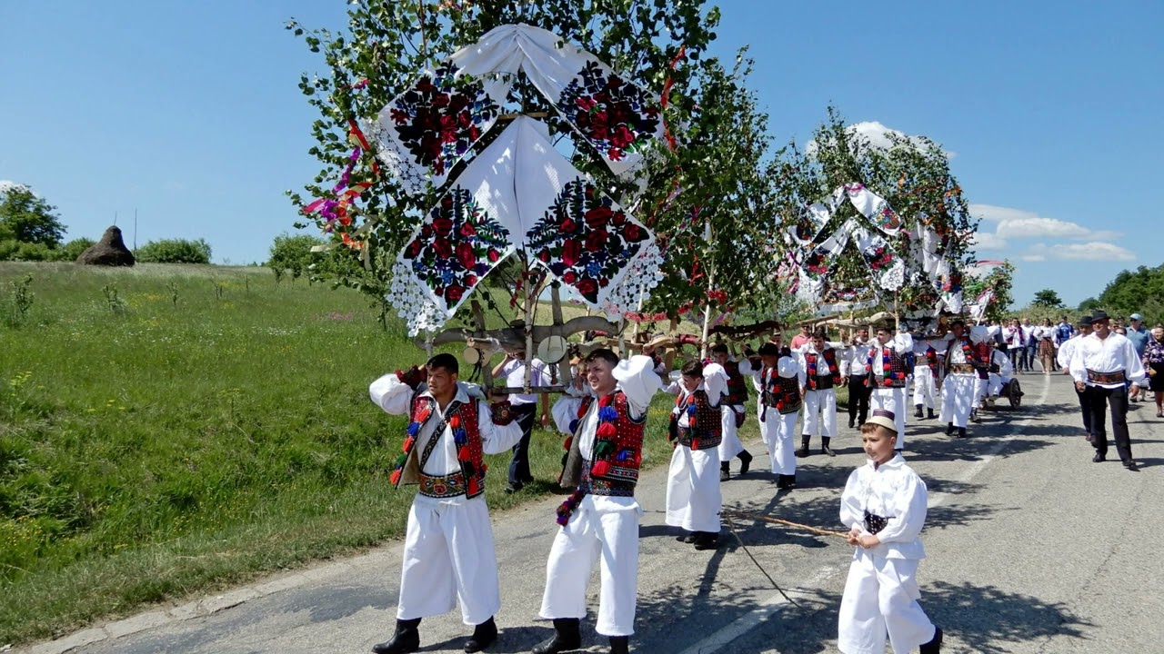 Așa zic mândrele mele | Cântec Popular de Petrecere și Voie Bună 🍻🎶