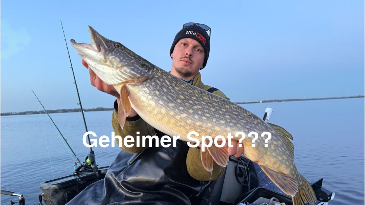 KESCHER Most Wanted| Jeder hätte ihn gefangen?!?!?!