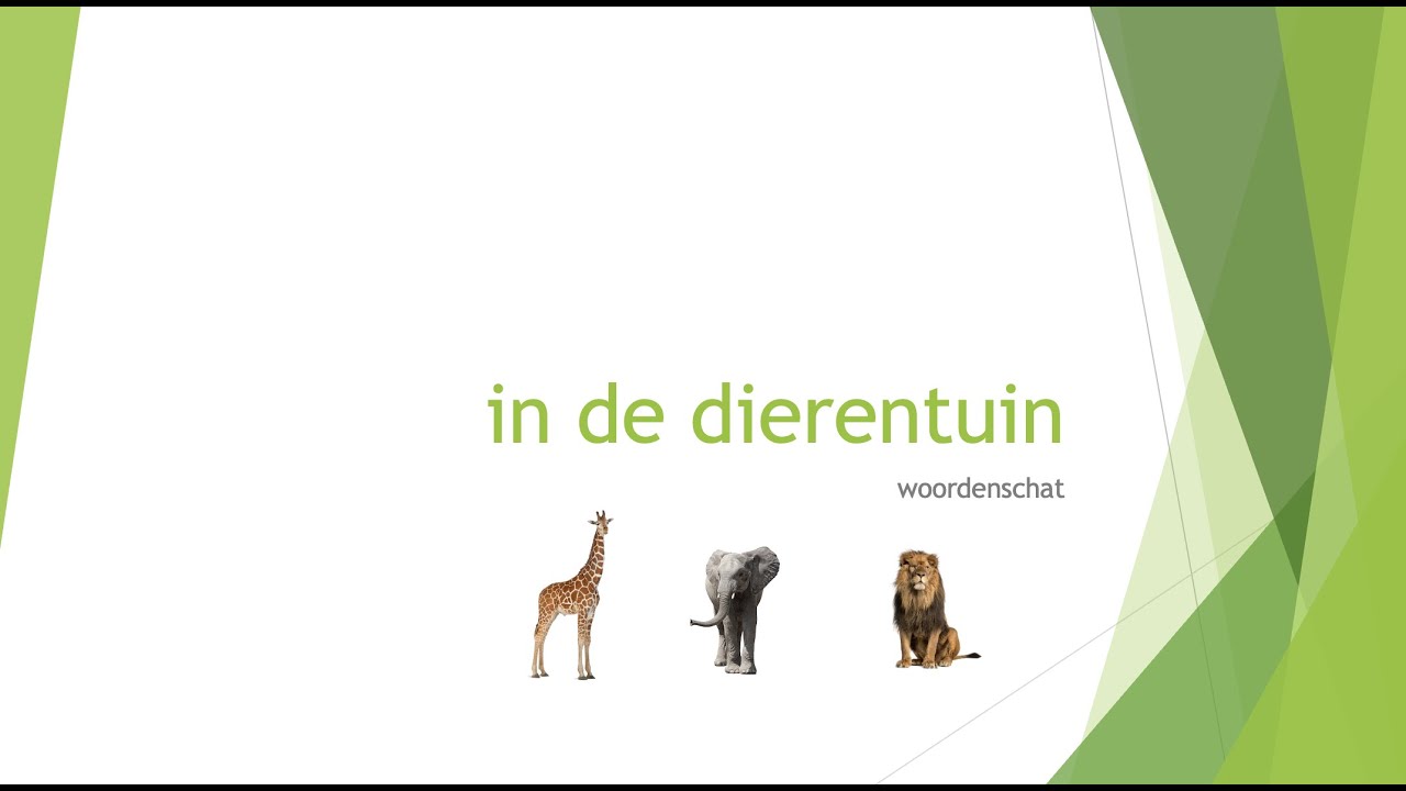 in de dierentuin - NT2 (A1, 1.1, Breakthrough - A2, 1.2, Waystage - B1, 2.1, 2.2, Threshold)