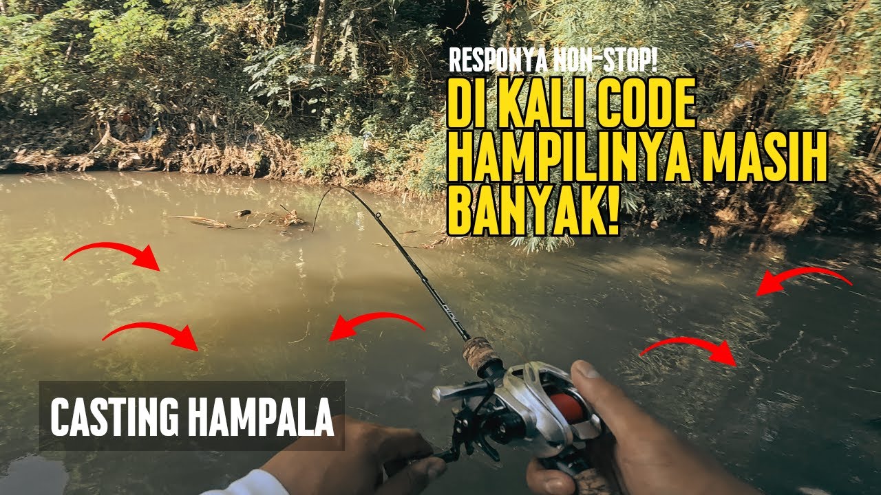 DI KALI CODE HAMPILINYA MASIH BANYAK!