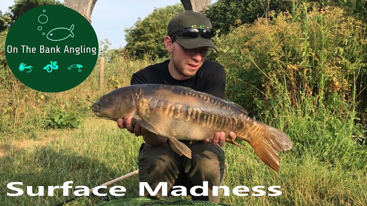 Surface Fishing at Viaduct Fishery