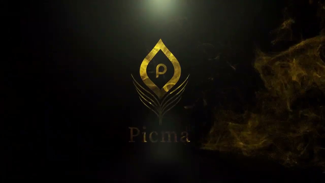 Picmatic Media 2.0 | Meet The Unseen Strategies | #creativeworld #brandgrowth
