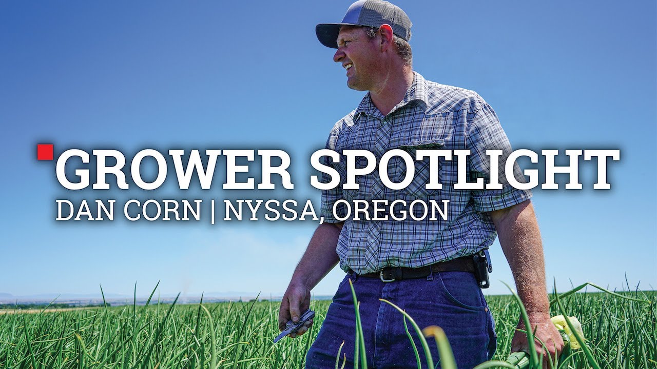 Grower Spotlight | Dan Corn