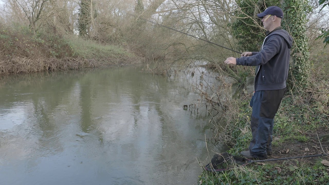 Suffolk Stour Chub