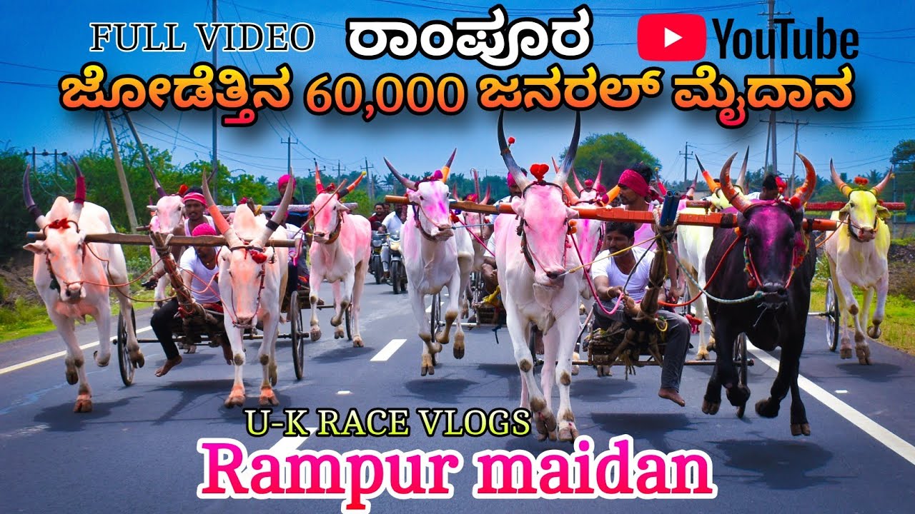 🚩💥ರಾಂಪುರ  ಜೋಡೆತ್ತಿನ 60,000 ಜನರಲ್ ಮೈದಾನ💥🚩 | Rampur maidan | @nagarajmendegar7150 30-05-2025