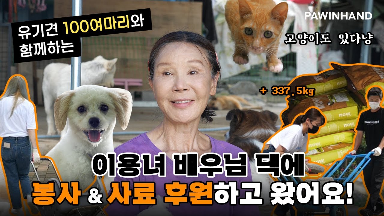 유기동물 100마리와의 동고동락, 이용녀 선생님 댁에 다녀왔어요! │ 배우 이용녀의 근황 그리고 전하고 싶은 말