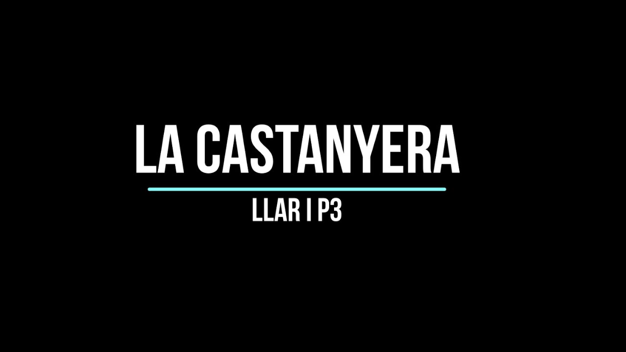 Festival Castanyada P3 Llar - La Castanyera