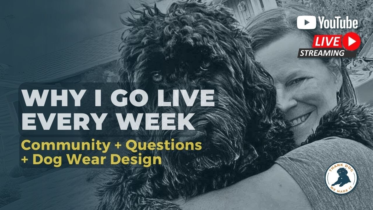 Why I Go Live Every Week - Community+Questions+Dog Wear Design
