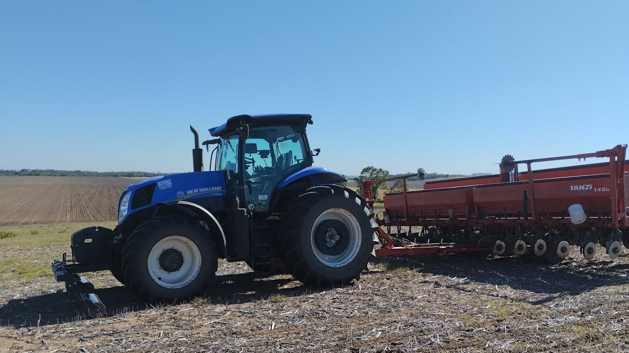 Probando la Mainero 5877, sembrando y cosechando!!!!! 