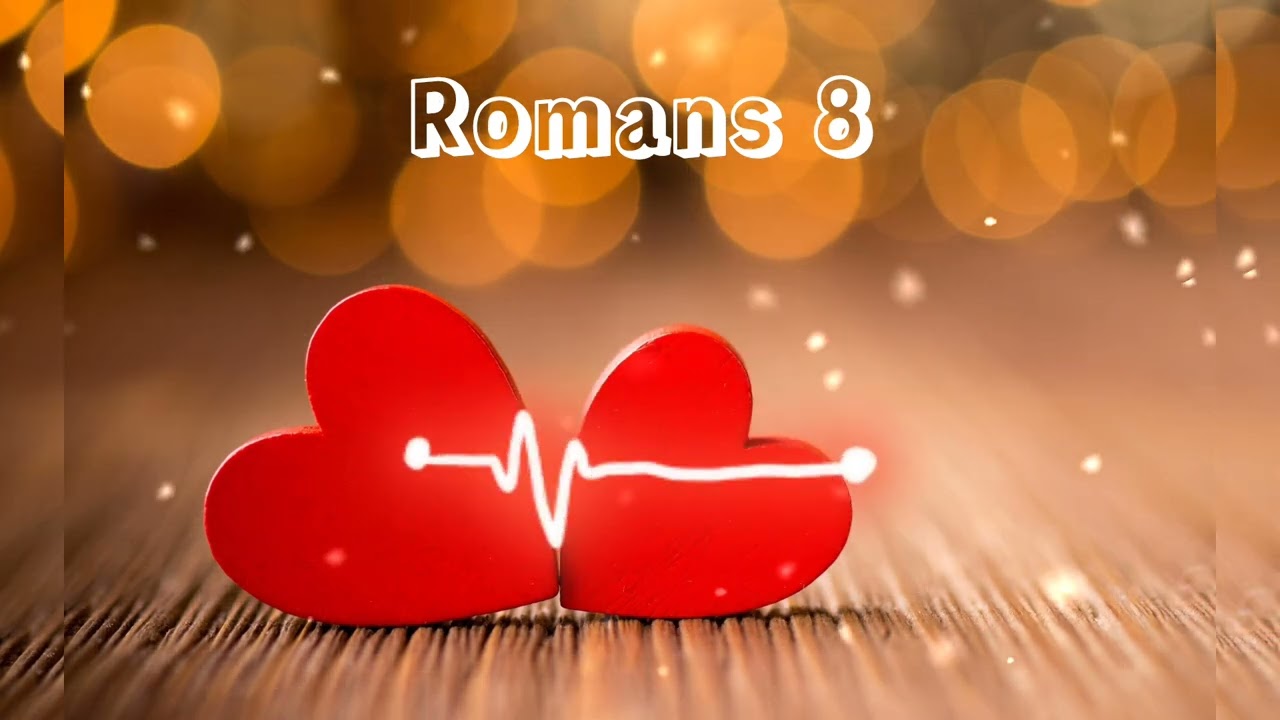 Romans 8 # audio bible #English #NIV#