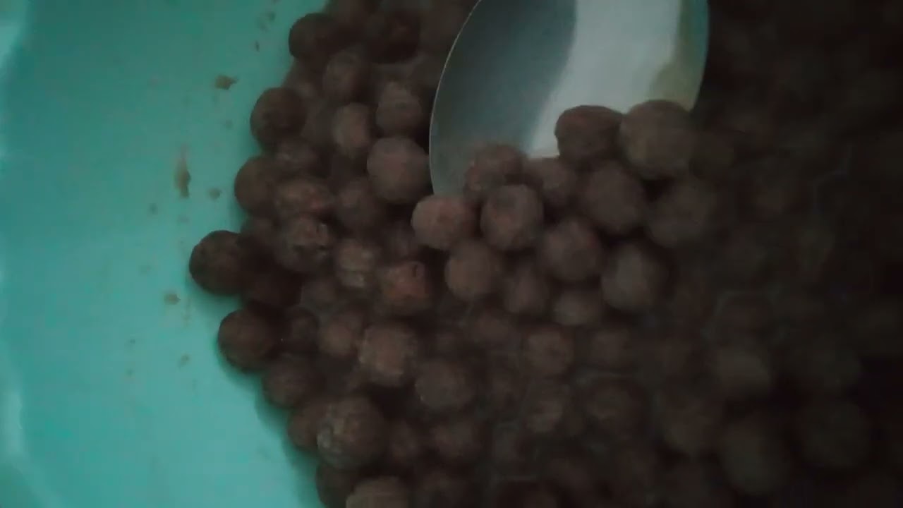 Bizim nesxutie hayranlık