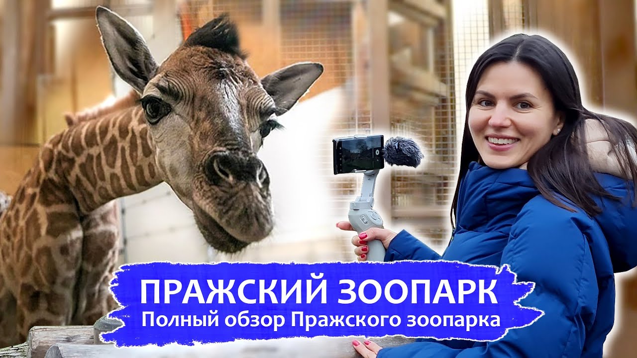 Пражский Зоопарк | Полный обзор Пражского зоопарка!