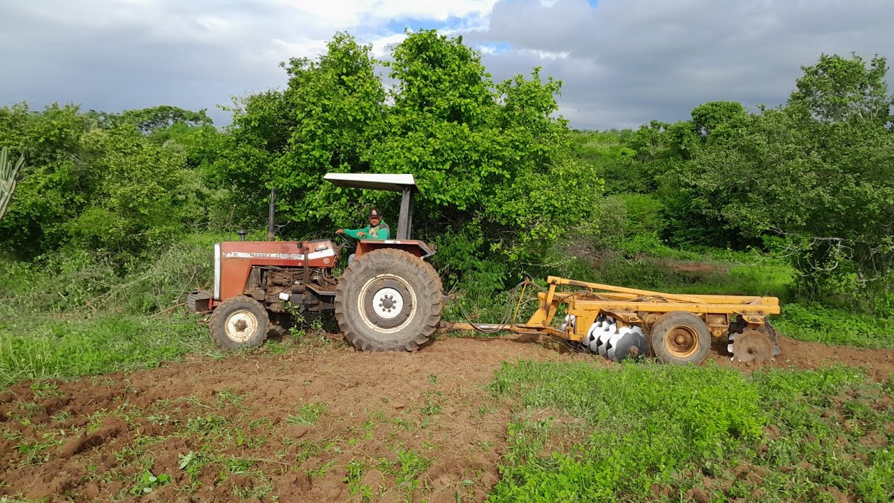 Cortes de terra na caatinga nordestina