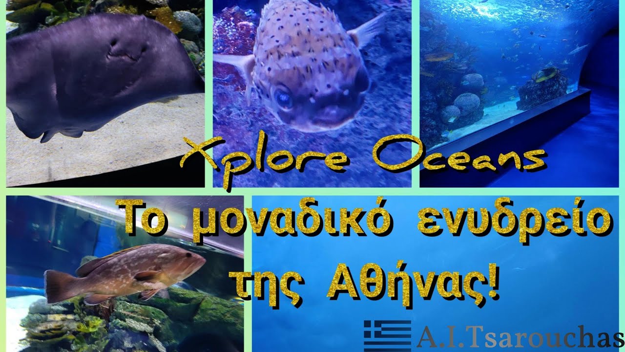 Το μοναδικό ενυδρείο της Αθήνας (Xplore Oceans)