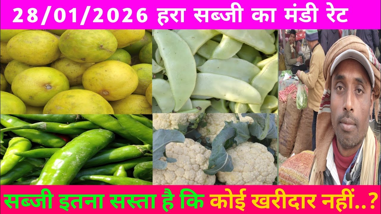 मंडी में सब्जी ज्यादा सस्ता होने से किसान बिल्कुल परेसान | #vegetables 