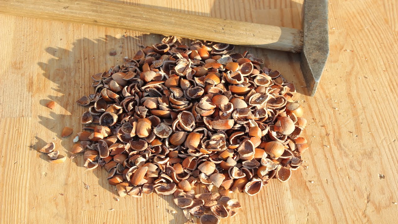 Hazelnut shelling/cracking lifehack