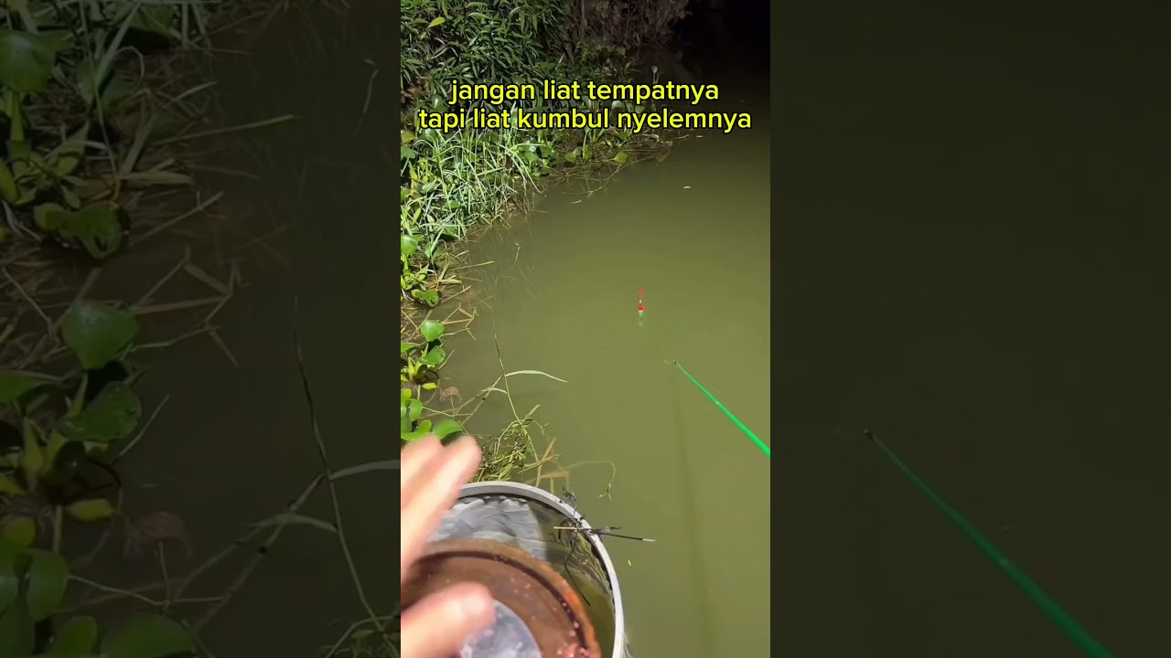 Ngeetrik dan nyelem #hobbymancing #mancing