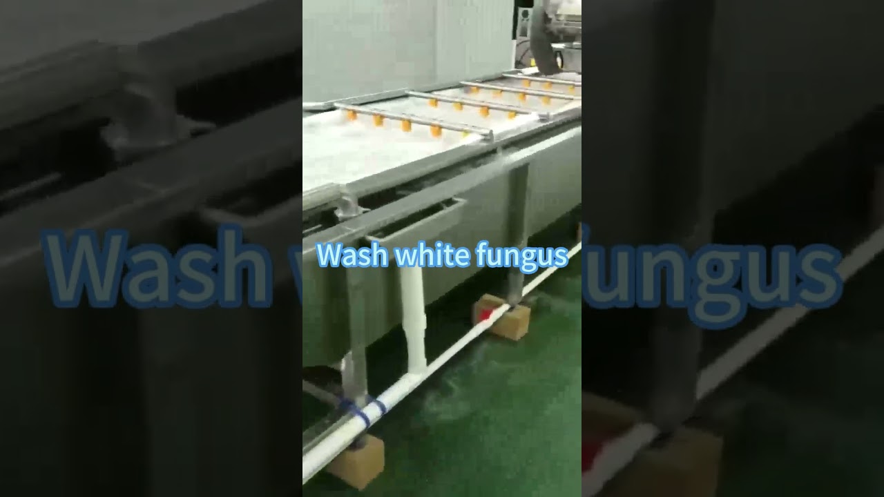 Revolutionizing Kitchen Hygiene: The Ultimate Vegetable Washing Machine