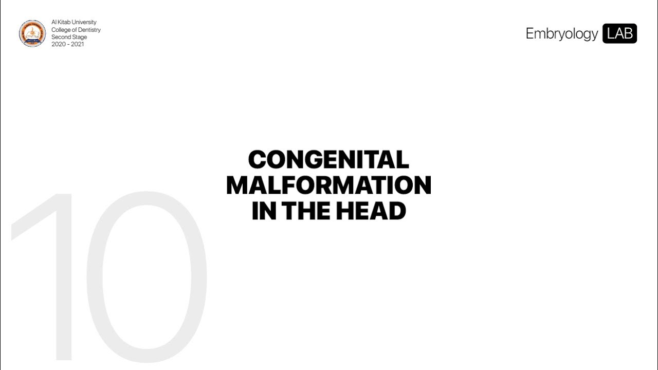 10. Congenital Malformation in the Head and Neck  | Embryology LAB