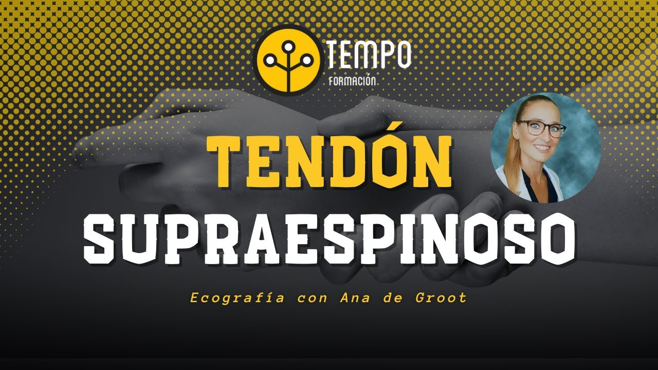 Ecografía tendón supraespinoso con Ana de Groot #ecografia #fisioterapia
