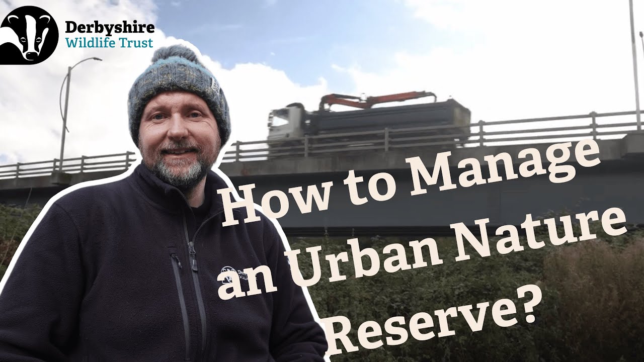 Urban Nature Reserve: Derwent Meadows / On Site